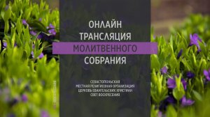 12.04.2023 Церковь Свет Воскресения | Онлайн трансляция молитвенного собрания