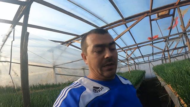 Как я делаю воздушную подушку в теплице. смотреть онлайн