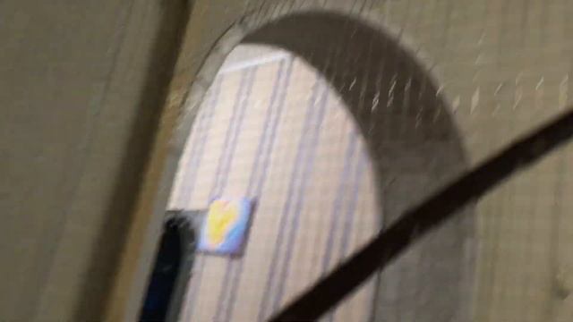 Как приручить попугая? Как я приручаю диких попугаев. смотреть онлайн