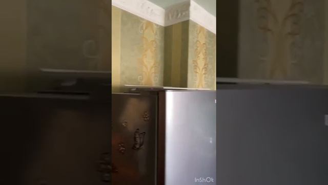 Квартира вашей мечты в Заводском районе смотреть онлайн