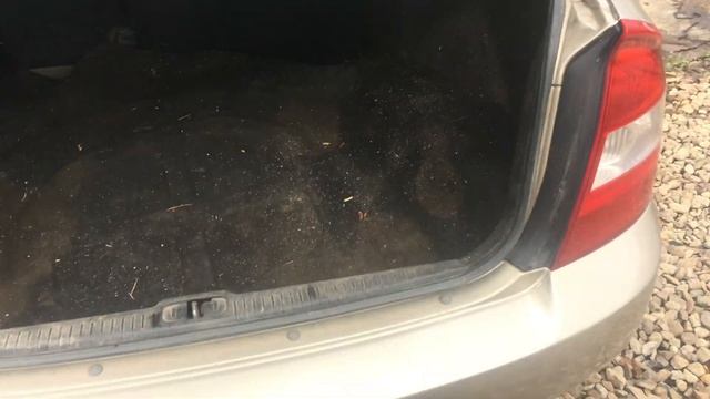 Обзор на разбор Kia Cerato смотреть онлайн