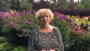 Вас обижают? Отвечайте по формуле!