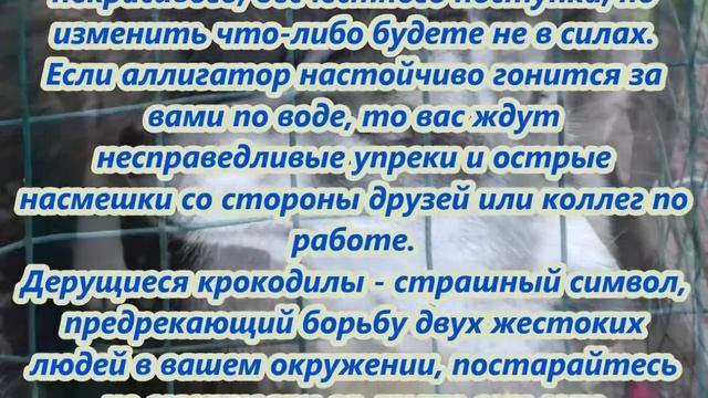 К чему снится крокодил смотреть онлайн