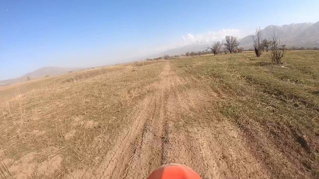 Офис смотреть онлайн видео от TLS в хорошем качестве.