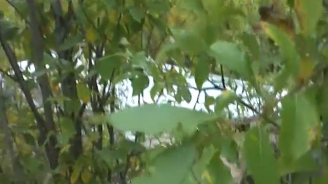 Библиотека им. Гомера ч.1 смотреть онлайн