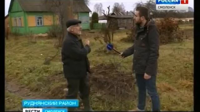 Смоляне встали на защиту гнёзд аистов смотреть онлайн
