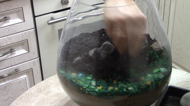 Суккуленты..mp4 смотреть онлайн