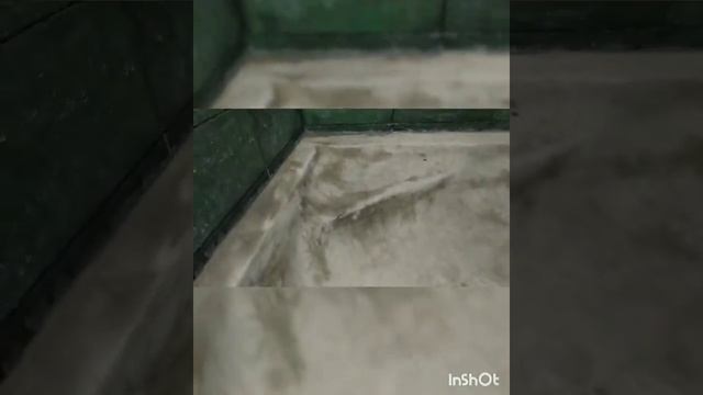 ванна из кирпичей смотреть онлайн