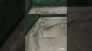 ванна из кирпичей