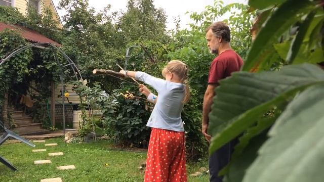 384 * А М У Р ДОМАШНИЙ)))) смотреть онлайн