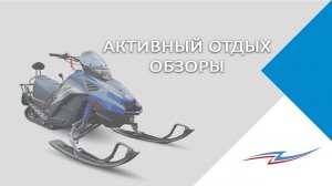 Снегоход Woideal Барс WD 180