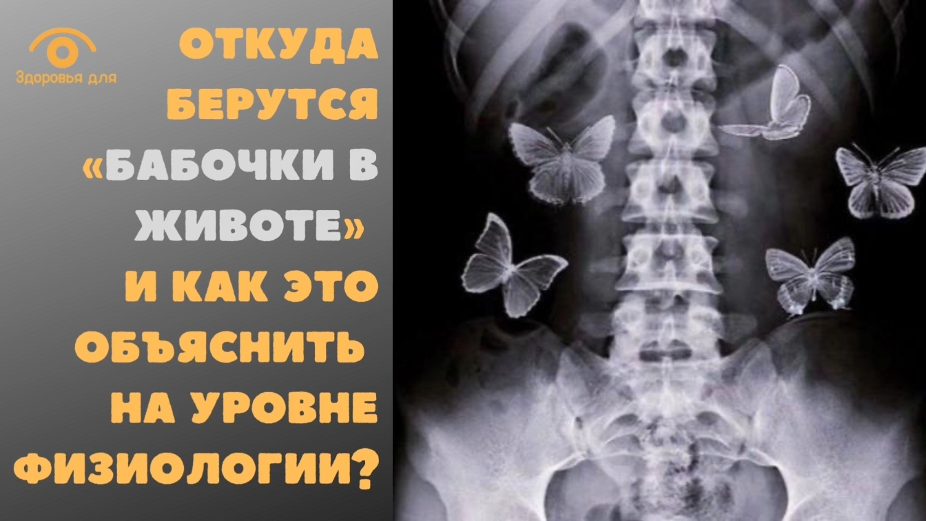 Как объяснить бабочки в животе. Бабочки в животе любовь. Физиология бабочек. Бабочки в животе прикол.