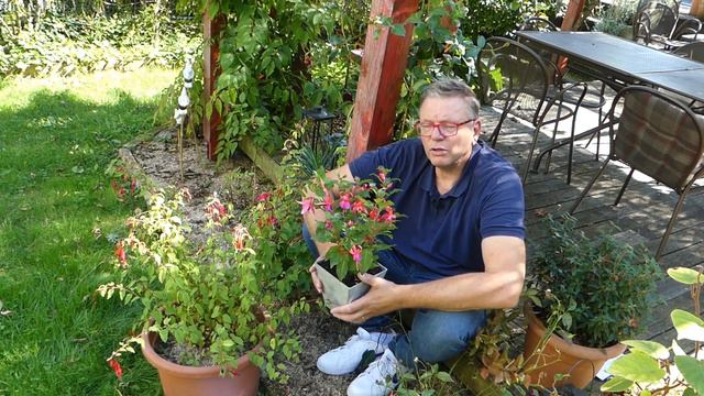 Les fuchsias смотреть онлайн