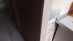 Межкомнатные двери экошпон отзывы