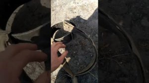 Как самому сделать намордник для теленка-дедовский метод