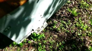 Кочевка УЛЬЕВ на РАПСЕ ☆ Пример НЕУДАЧНОЙ перевозки.