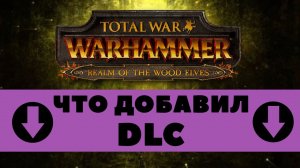 Обзор ДЛС "Царство Лесных Эльфов" Total War: WARHAMMER