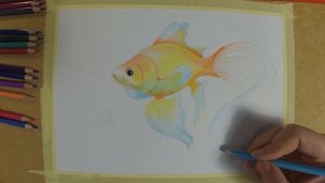 Рисуем Золотую Рыбку!