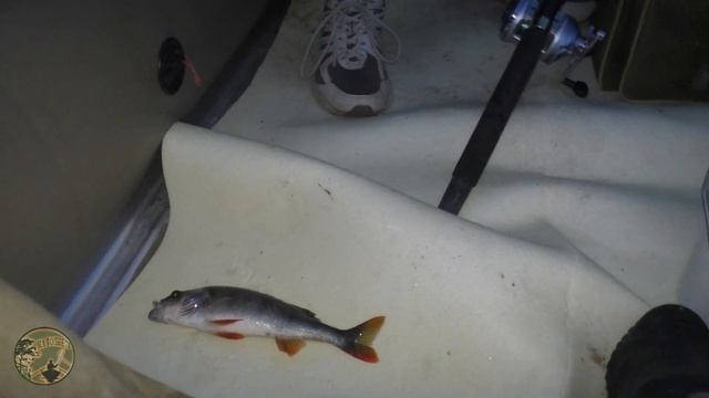 Рыбалка . Ладога 2020.Июнь,открытие сезона,Ленинградская обл.Новая Ладога. смотреть онлайн