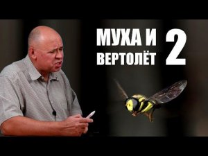 Муха и вертолёт ● 2