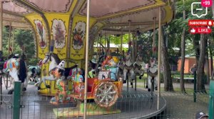 Гусиные истории🤪