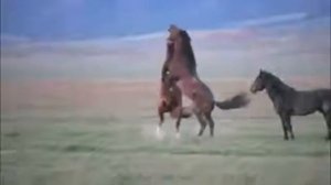 Аъттар. Тыва