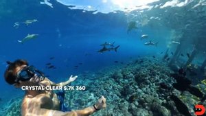 Insta360 X3 | Кейс для дайвинга