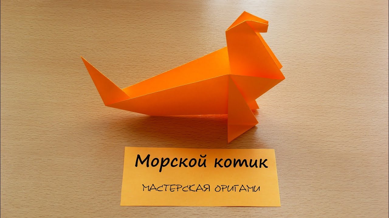 Как сделать оригами морского котика | Оригами для детей