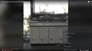 Dawg стрим 02.07.2018 #3 разговорный, Ютуб