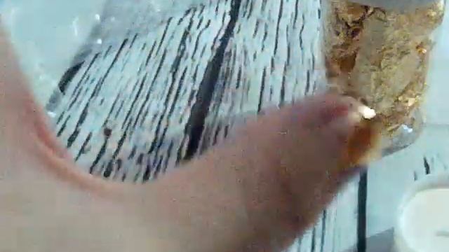 Съедобное золото с сайта #AliExpress смотреть онлайн