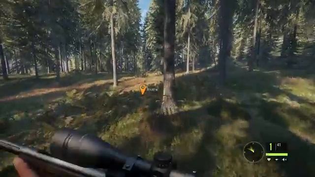 theHunter: Call of the Wild. Охота, не выходя из дома. смотреть онлайн