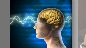 Михаил Ефимович Литвак. Цитаты