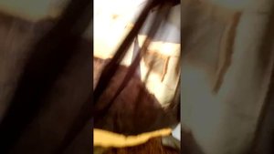 Шатер Маверик трансформер космос 400