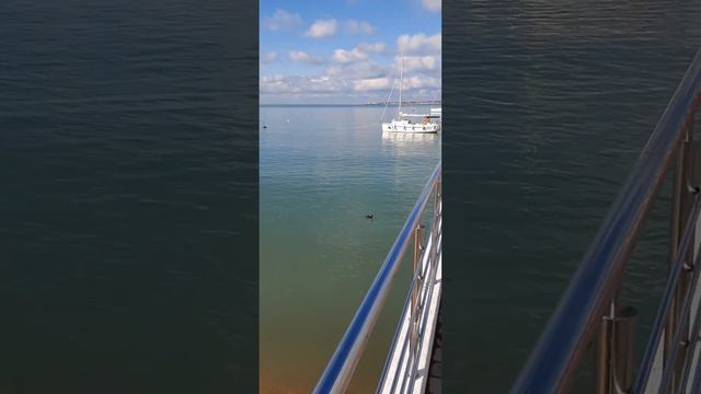 #Геленджик#ЦентральныйПирс#16февраля2023г смотреть онлайн