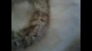 украшаем пододеяльник..