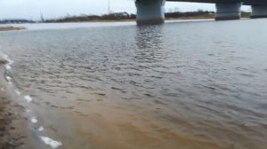 Рыбалка. За налим в ноябре на Волхов