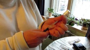 Прививки щенкам, как делают прививки щенкам и собакам. Советы_ветеринара