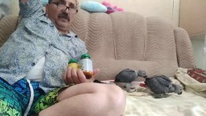 Содержание попугаев Жако