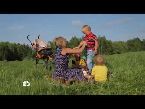 "Чудо техники": Средства от комаров, правда и мифы о стволовых клетках, "растущие" стулья