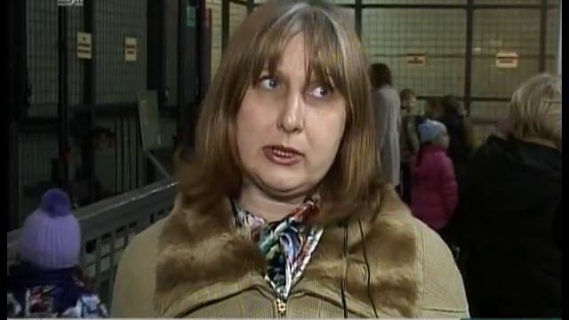 Для четверых родившихся в Челябинске сурикатов подбирают новый зоопарк