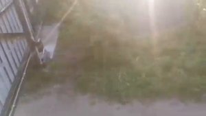 Установка автоматики Homegate LTM