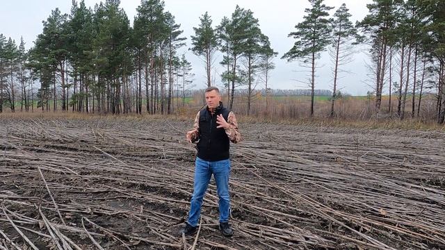 Отечественные гибриды подсолнечника. Результаты производственных испытаний. Уборка в поздние сроки.