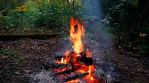 ? Cozy Campfire in the Forest (12 HOURS). Autumn Campfire with Crackling Fire Sounds