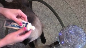 Как украсить окно к Новому году ? & Как украсить дом на Новый год ?