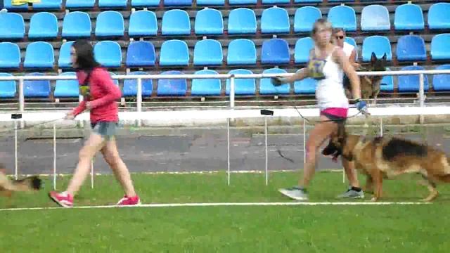 Рабочий класс сук 2 _ Russian Siegerschau 2015