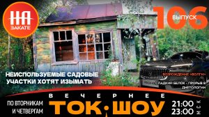 НА ЗАКАТЕ. ВЫПУСК 106. ВЕЧЕРНЕЕ ТОК-ШОУ