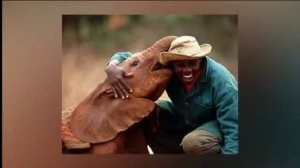 Город Найроби! столица Кении!! Nairobi City! the capital of Kenya !!