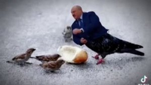 Лукашенко общается с голубями птицами #мем #мемы #meme #memes #news #новости #Украина #Беларусь