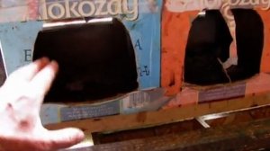 Мои импровизированные, бюджетные гнёзда для кур из картонных ящиков на скорую руку