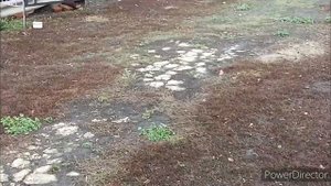 Жизнь женщины в деревне. Жизнь в глубинке России. Как живут в деревне.Коврики как у бабушки